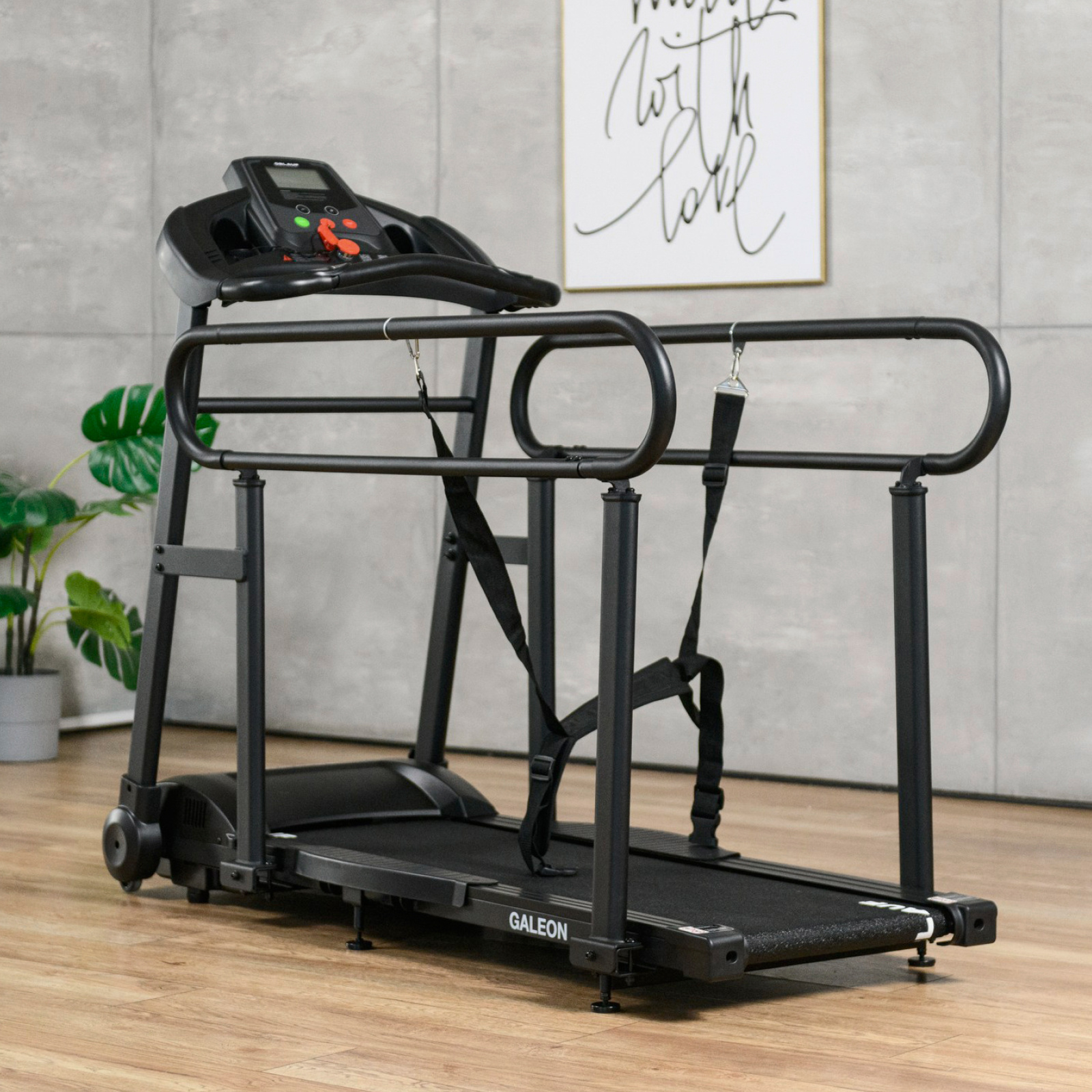 Беговая дорожка Orlauf Galeon — изображение 3
