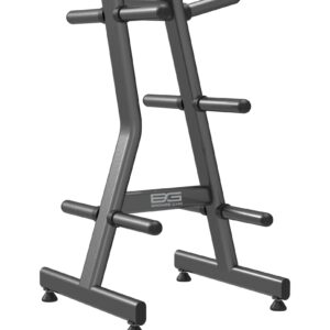 Стойка для дисков BRONZE GYM BR-1023